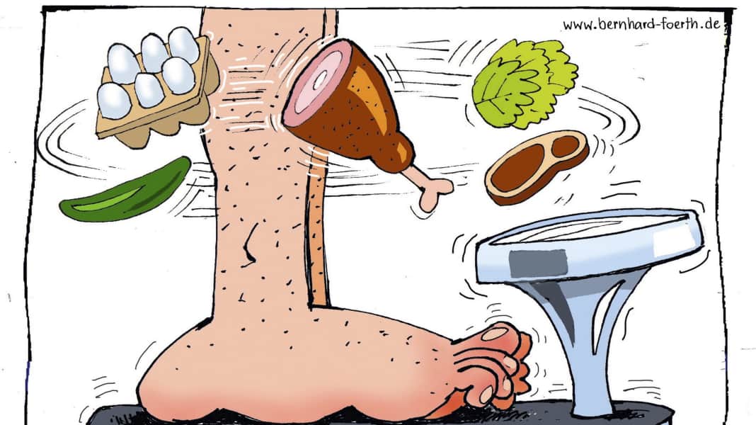 Geht’s noch?: U-80 oder Ü-80? Diäten für Windsurfer