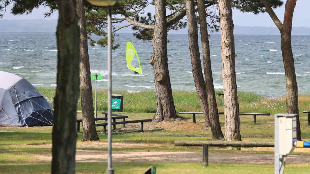 Camping tips: Campsites for surfing - from bed to board in Denmark