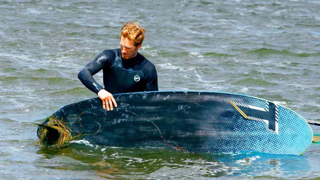 Market overview: All weed fins for freeride and freerace at a glance