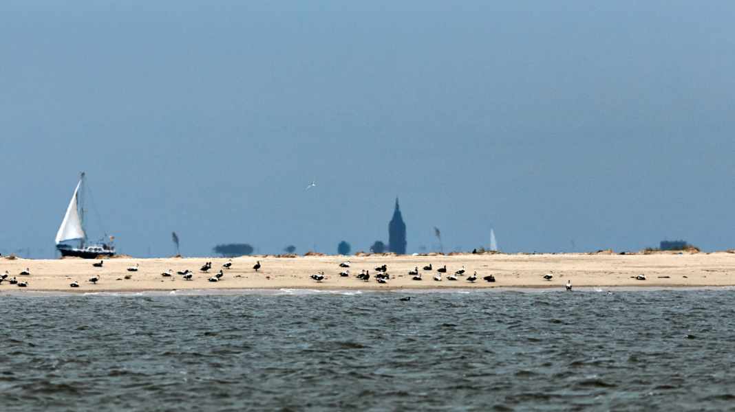 Neue Befahrensregeln an der Nordsee: Das müssen Wattenmeer-Segler wissen