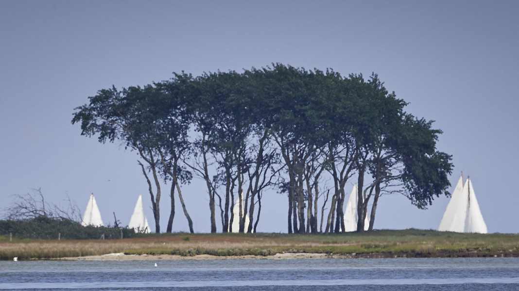 Nationalpark Ostsee: Konsultationen mit Seglern beendet, jetzt entscheiden die Politiker
