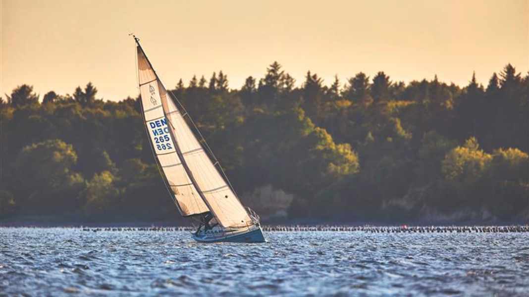 Denmark: Limfjord regatta attracts small crews