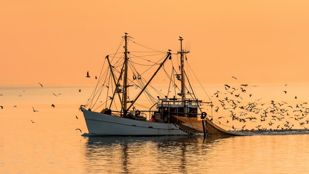 Fishing nets: These fishing systems exist and how to avoid them