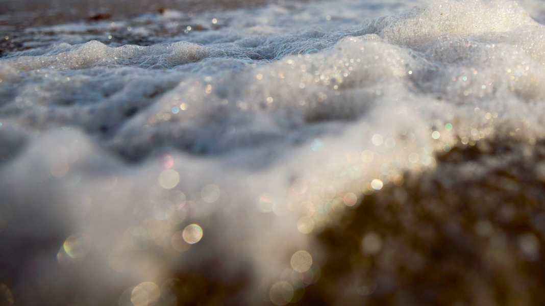 Baltic Sea protection: State government informs about plans for the action plan