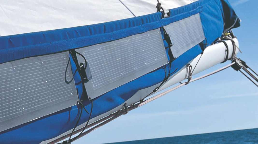 Solar panels: large tree generates electricity