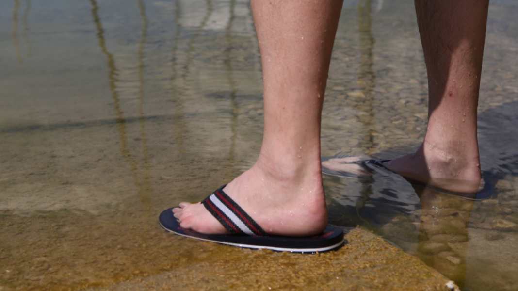 Baltic Sea: How dangerous are vibrios for water sports enthusiasts?