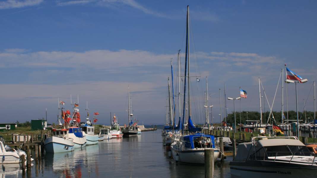 Lippe marina thriller: "The Count just wants to get rid of us!"