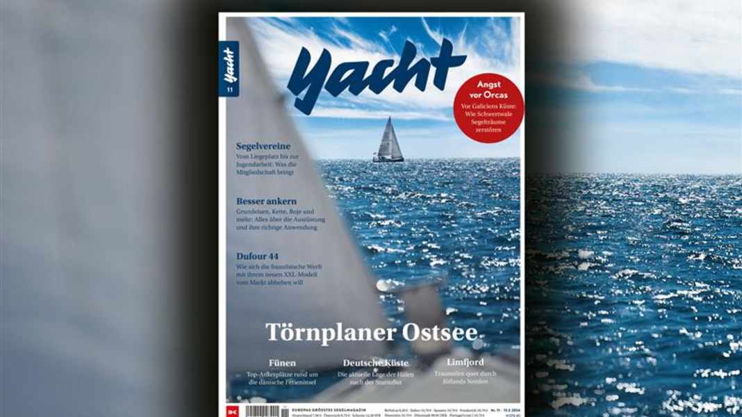 YACHT 11/24 : Quand la forme suit la fonction