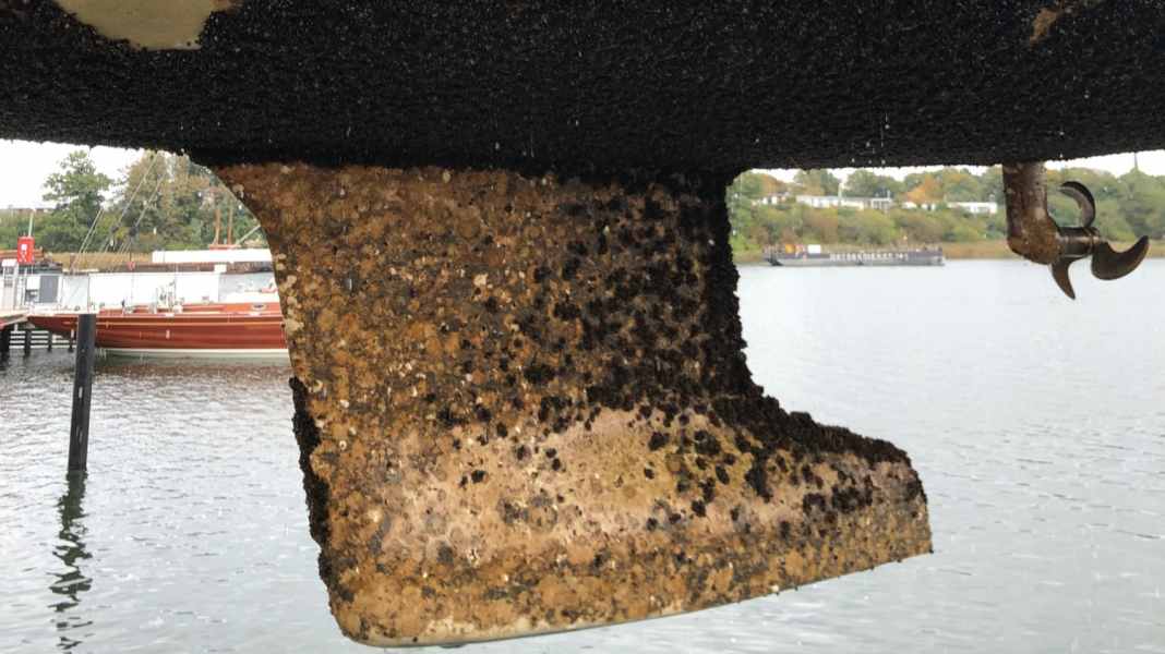 Protection against fouling: Biocide-free antifouling - yes or no? The fouling atlas provides information