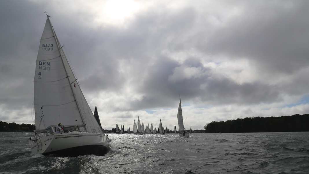 Silverrudder: Boote, Böen und Bruch