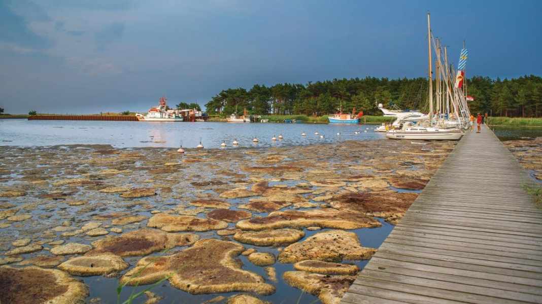 Baltic Sea: Access to the Darßer Ort emergency harbour is cleared for the first time