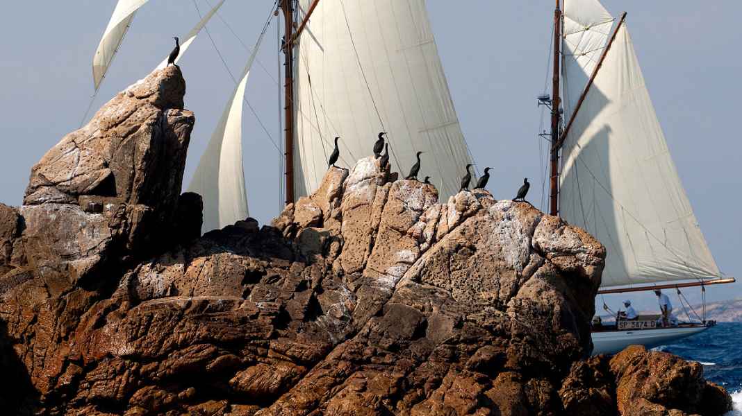 Classic: International regatta calendar