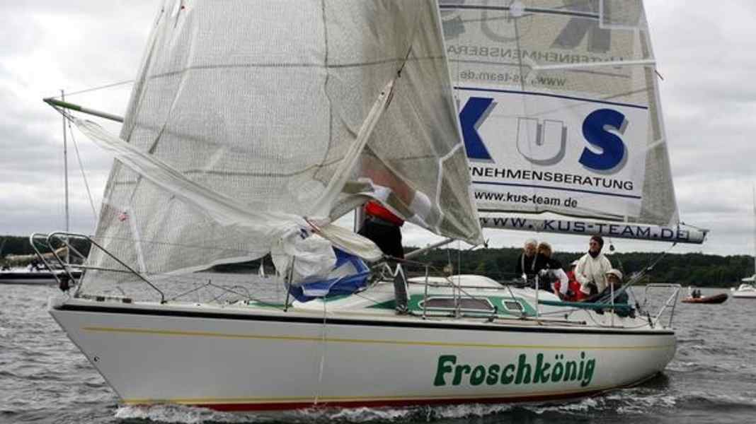 Regatta-News: Das Märchen vom "Froschkönig"