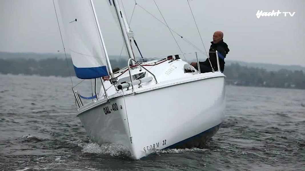 Nain polonais : Nouveau en Allemagne : Storm 22