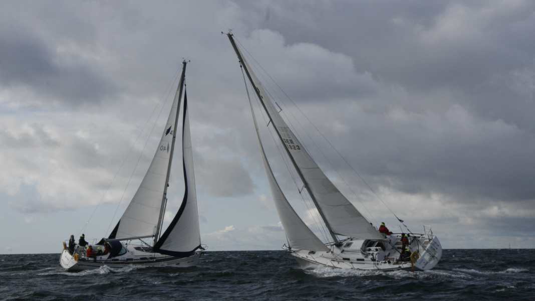Fun regatta: Offshore sailing as a popular sport