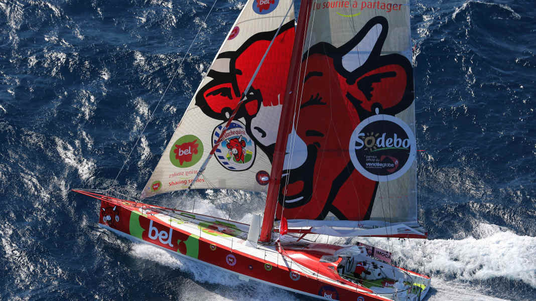 Vendée Globe: collisione con la mucca ridente