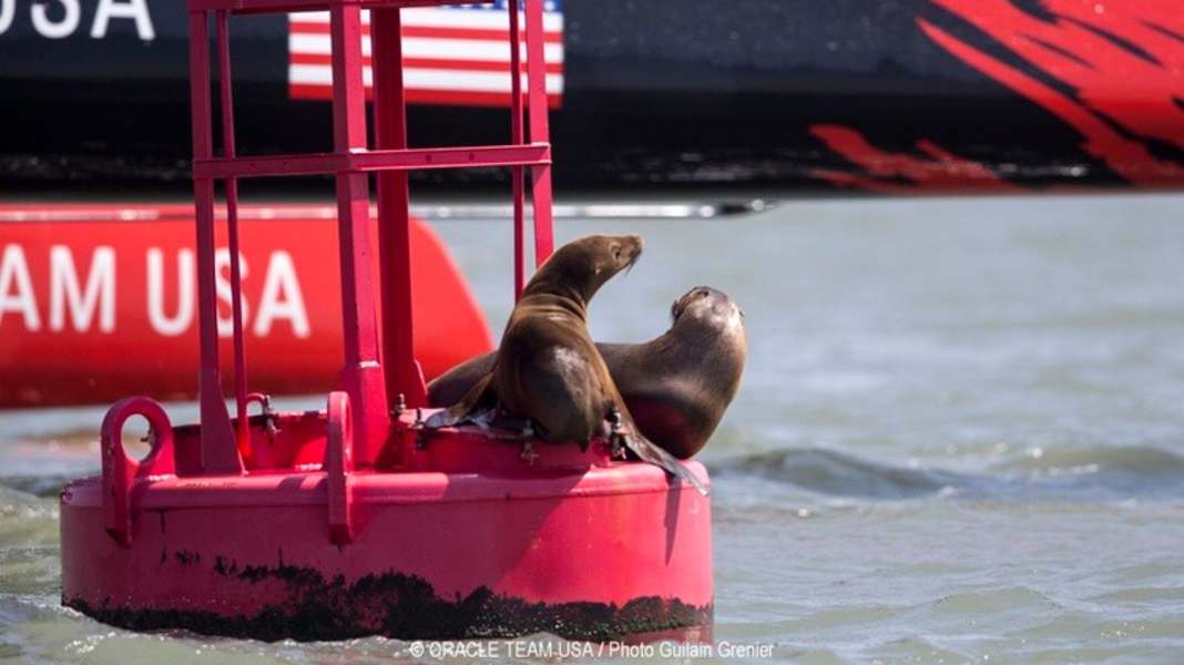 America’s Cup: So will Team USA gewinnen
