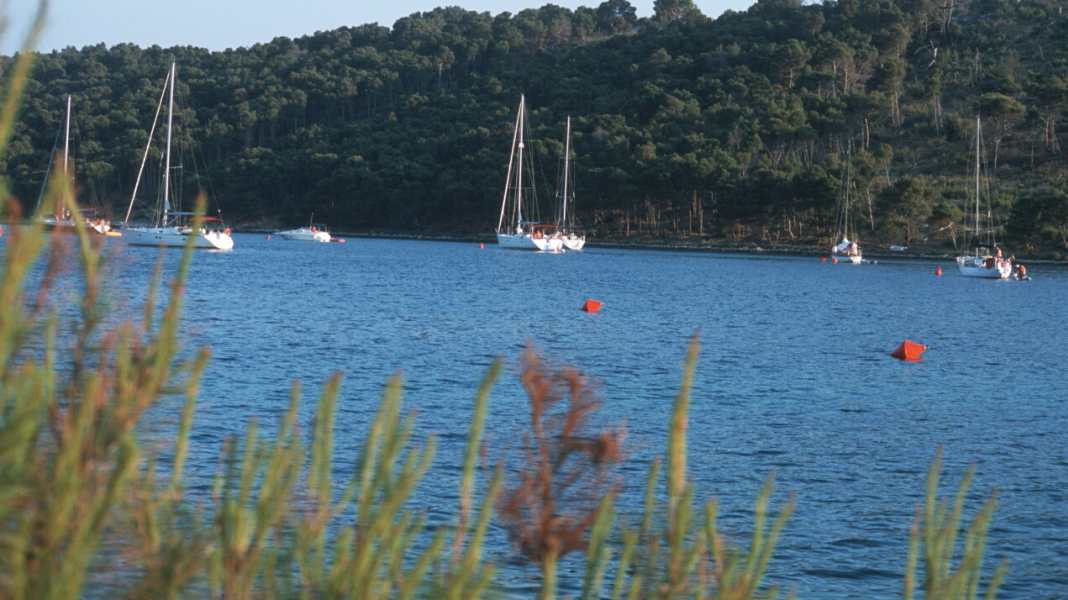 Kroatien: Die Telascica wird teurer