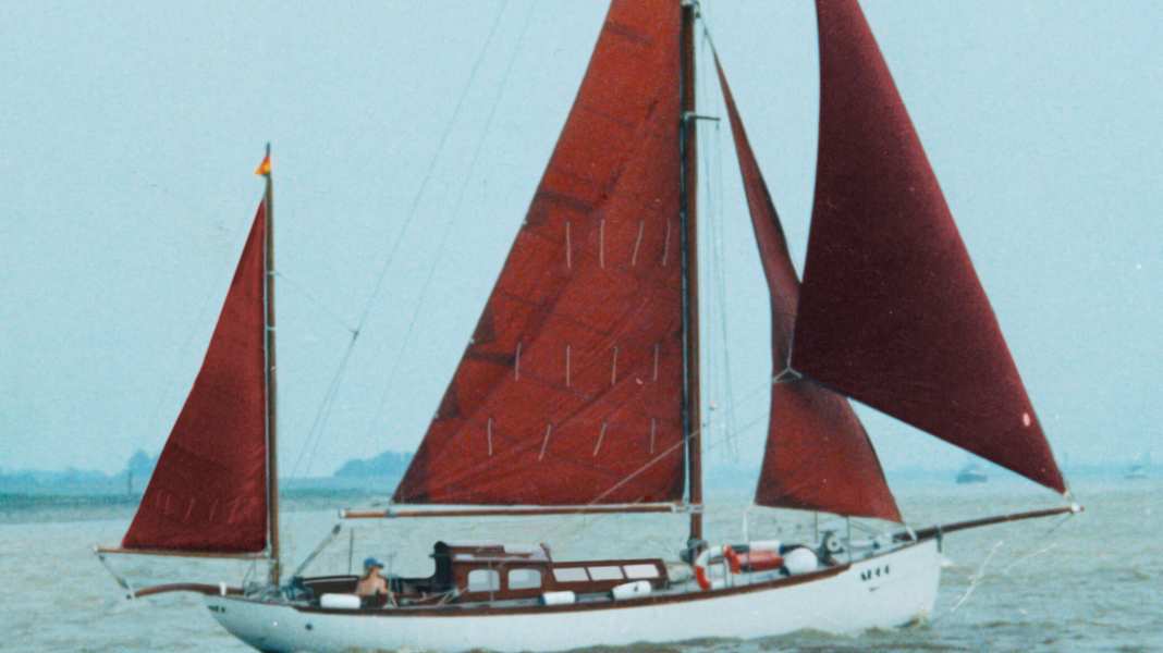 Operazione di salvataggio: "Argo" cerca un nuovo amante