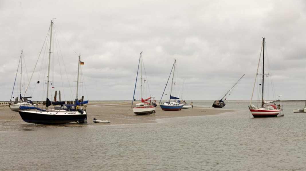 Law: Mudflat dwellers worry about their territory