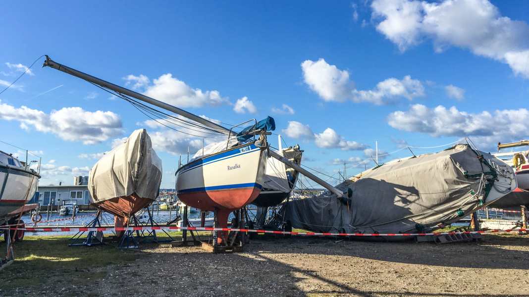 Storms: Pictures of the destruction after storm "Herwart"