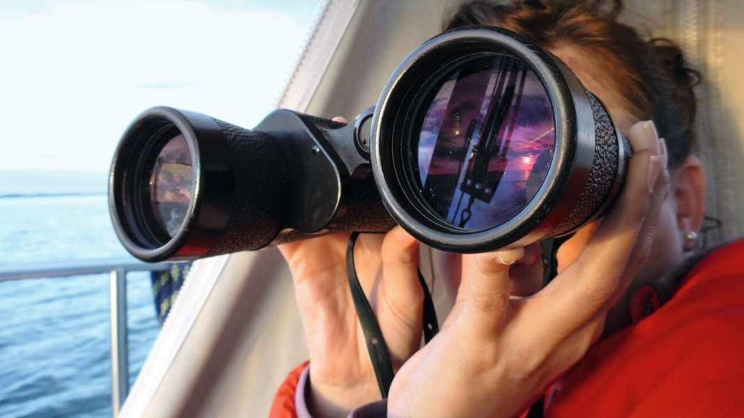 Test dell'attrezzatura: Binocoli in prova: piccole ottiche, grandi immagini