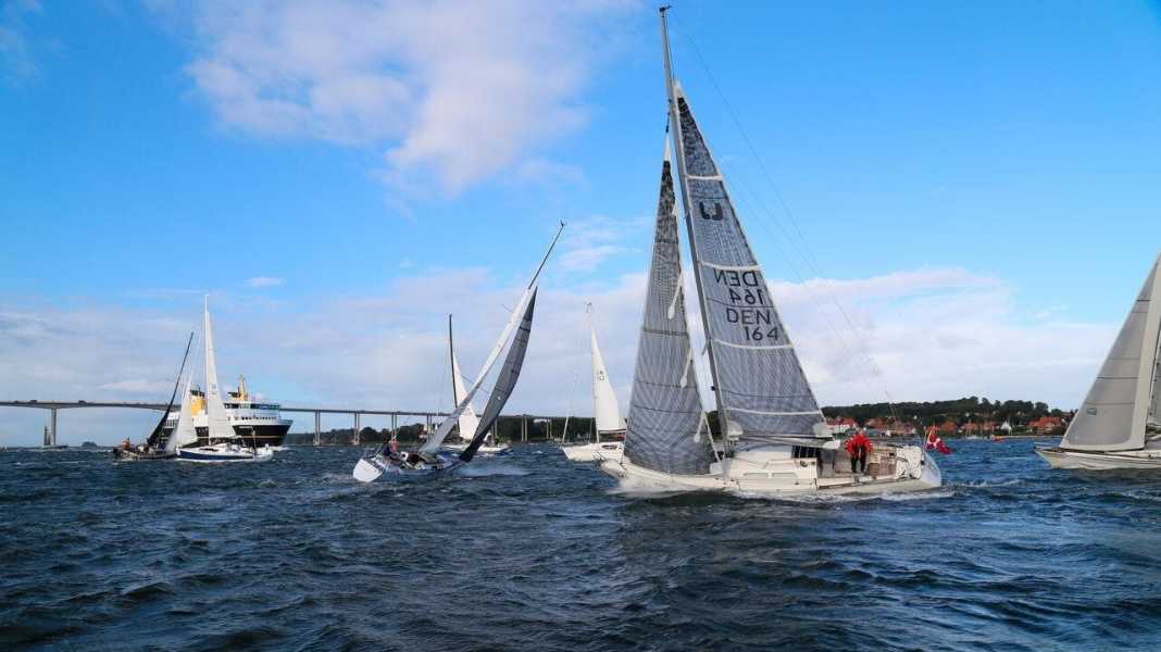 Regata in singolo: le iscrizioni online per Silverrudder iniziano domenica alle 17.00.