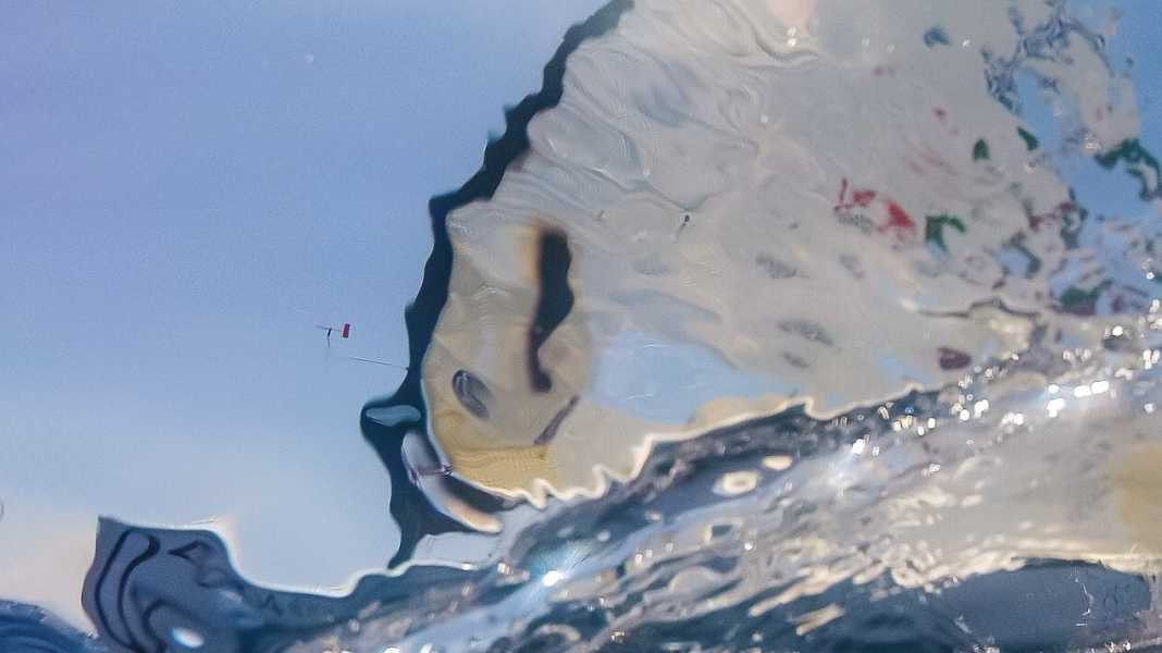 Segeln olympisch: Finn-Segler werfen Welt-Seglerverband Diskriminierung vor