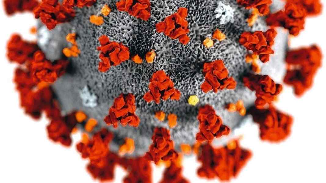 Epidemie: Reaktionen der Charterbranche auf Corona-Virus