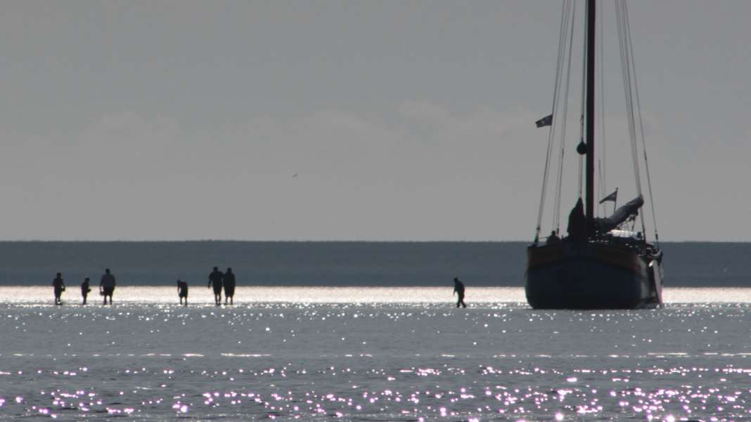 Revier-Info: Yachtcharter Niederlande: Wattensee