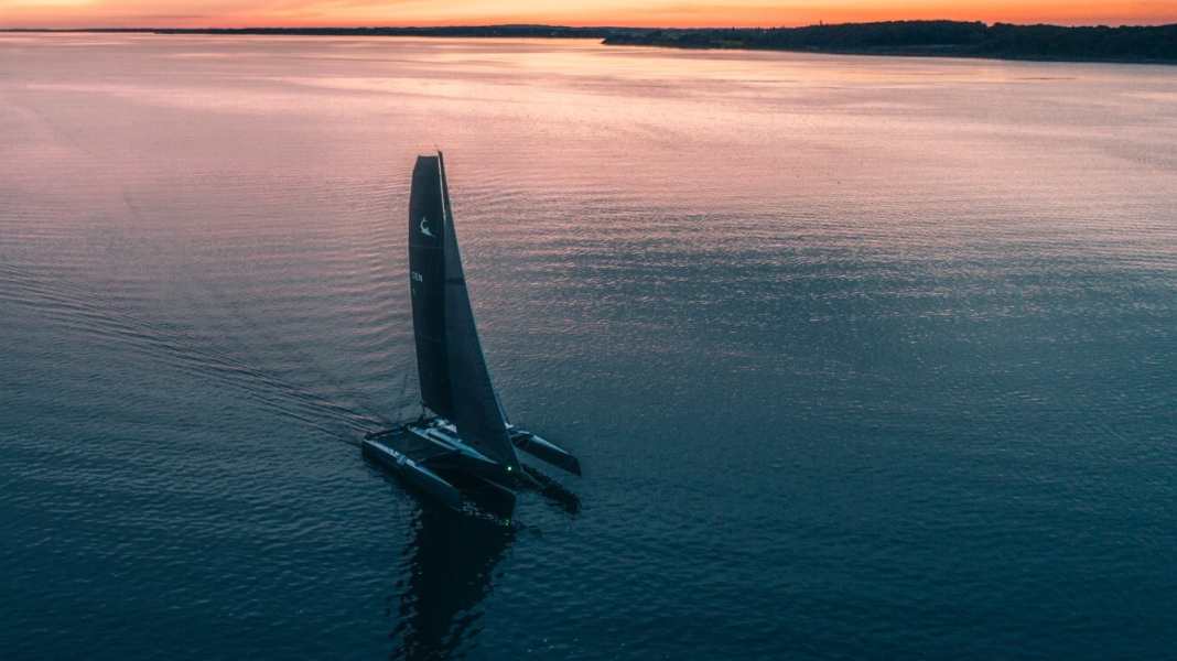 Silverrudder: Swallowed up by the doldrums: Not even ten per cent made it through