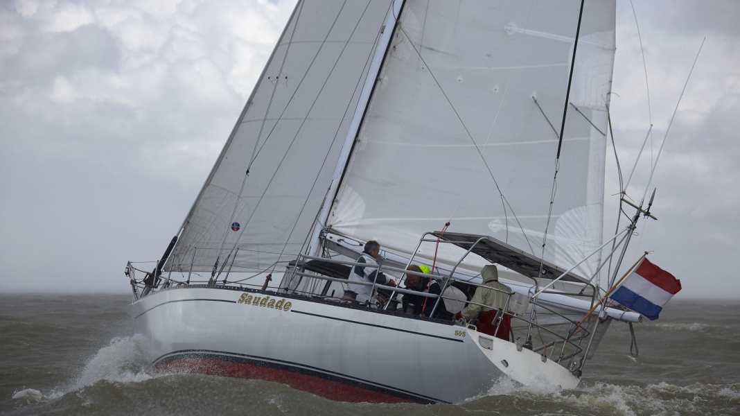 "Saudade": The "red sow" in retirement