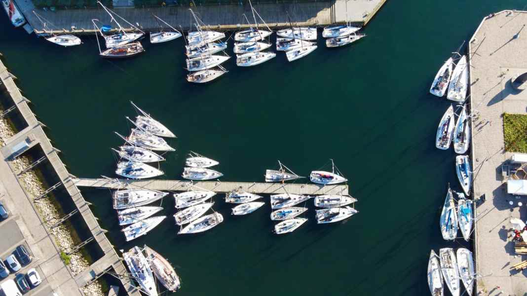 The Vegvisir Race 2021 has started: 388 regatta sailors responded to the call of the adventure sailing rally