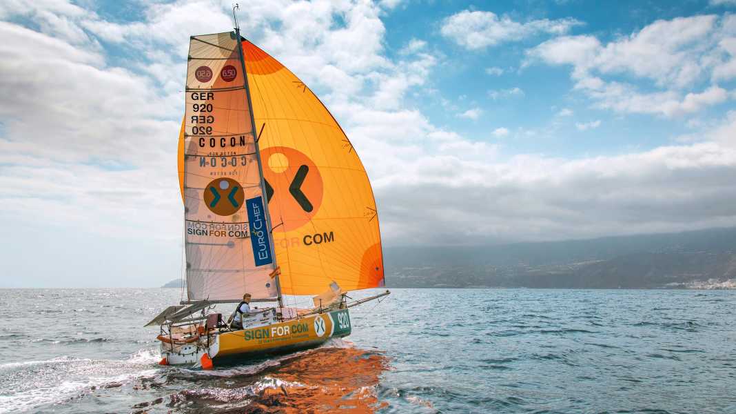Atlantic adventure: Concentrated experience: Mini Transat sailors with Trans-Ocean