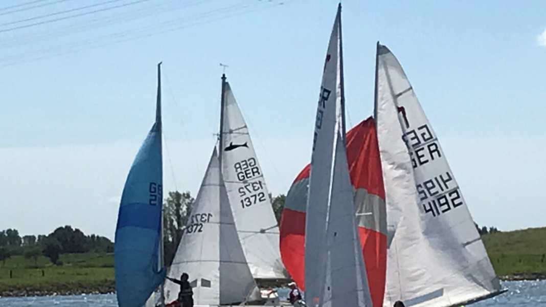 100a Settimana del Reno: la regata fluviale più lunga d'Europa celebra il suo anniversario
