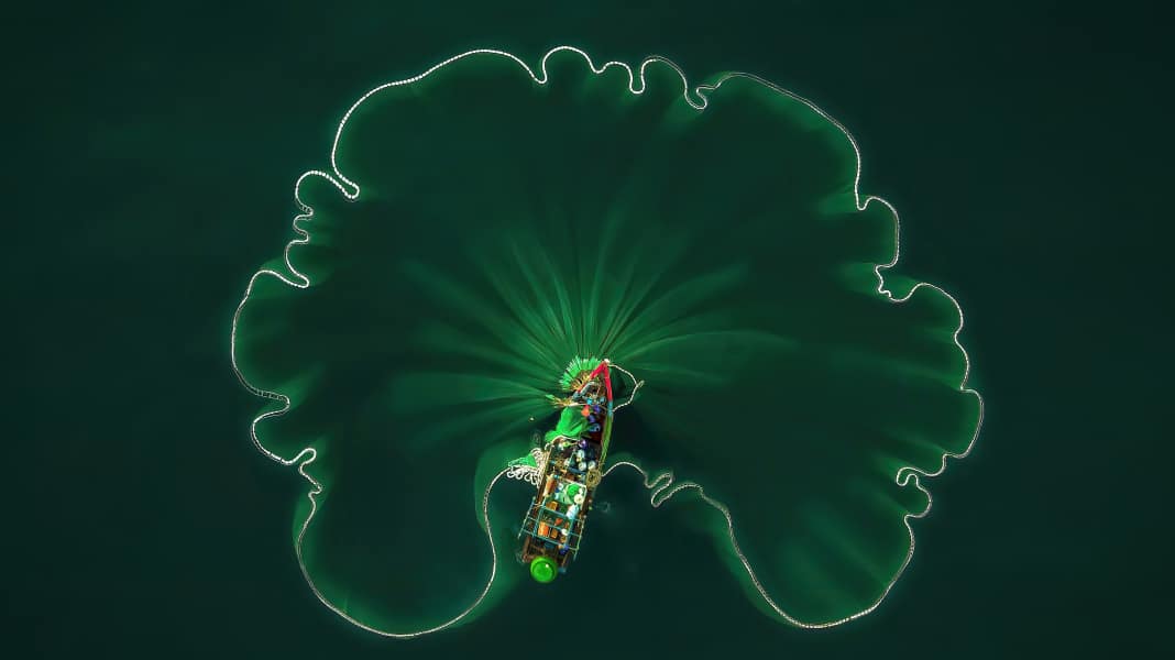 World Oceans Day 2022: Fantastic photos by and for the friends of the sea