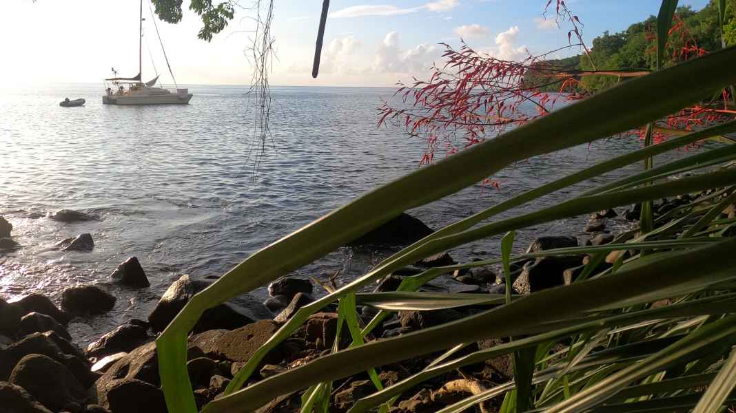 Blue Water Blog: Un anno ai Caraibi: i lati soleggiati e oscuri del paradiso della vela