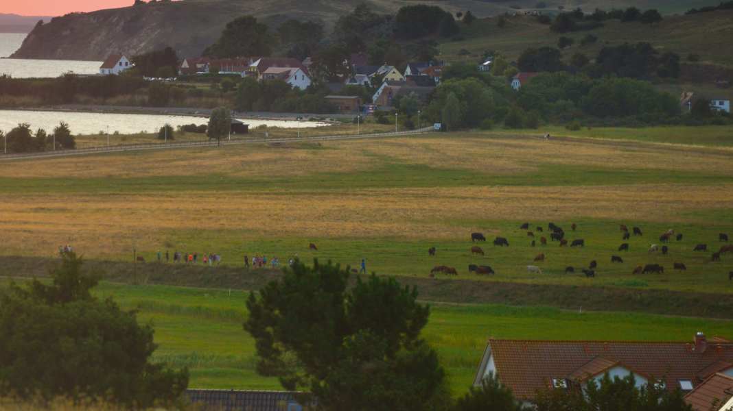 Baltic Sea tips: In the midst of unspoilt nature - 10 idyllic natural harbours