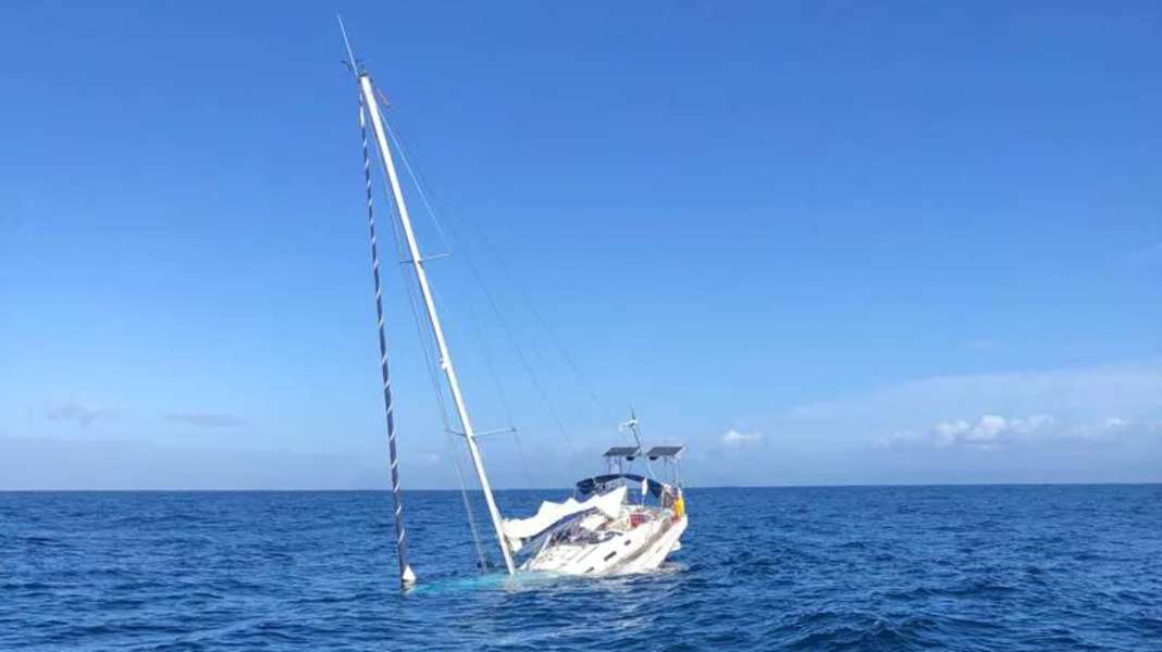 Attaques de baleines : un voilier coule au large du Portugal après une attaque d'orque