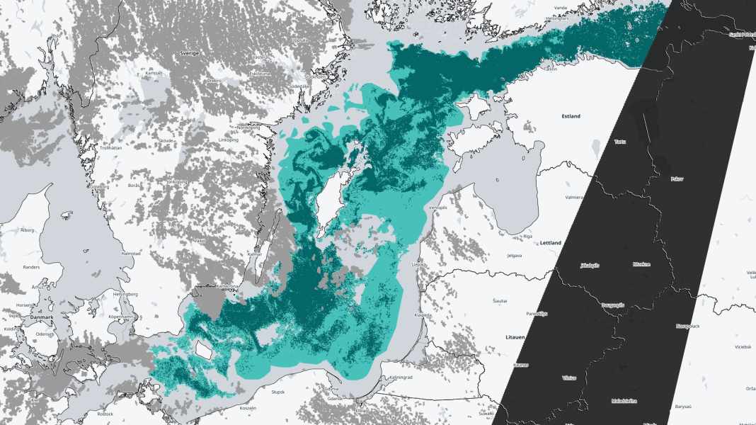 Environment: Algal bloom in large parts of the Baltic Sea