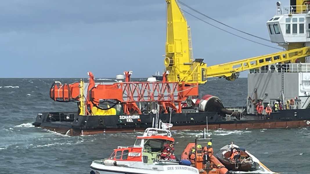 Mast breakage: Family from Hesse reports "Pan-Pan" in the Kiel Fjord