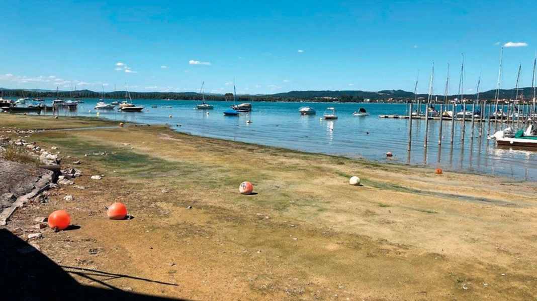 Low tide on Lake Constance: the situation in the harbours