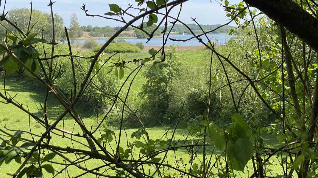 Wilfried Erdmann: Letzter Ankerplatz an der Schlei