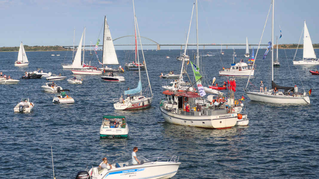Meinung: Gemeinsam kann mehr für den Ostseeschutz erreicht werden!