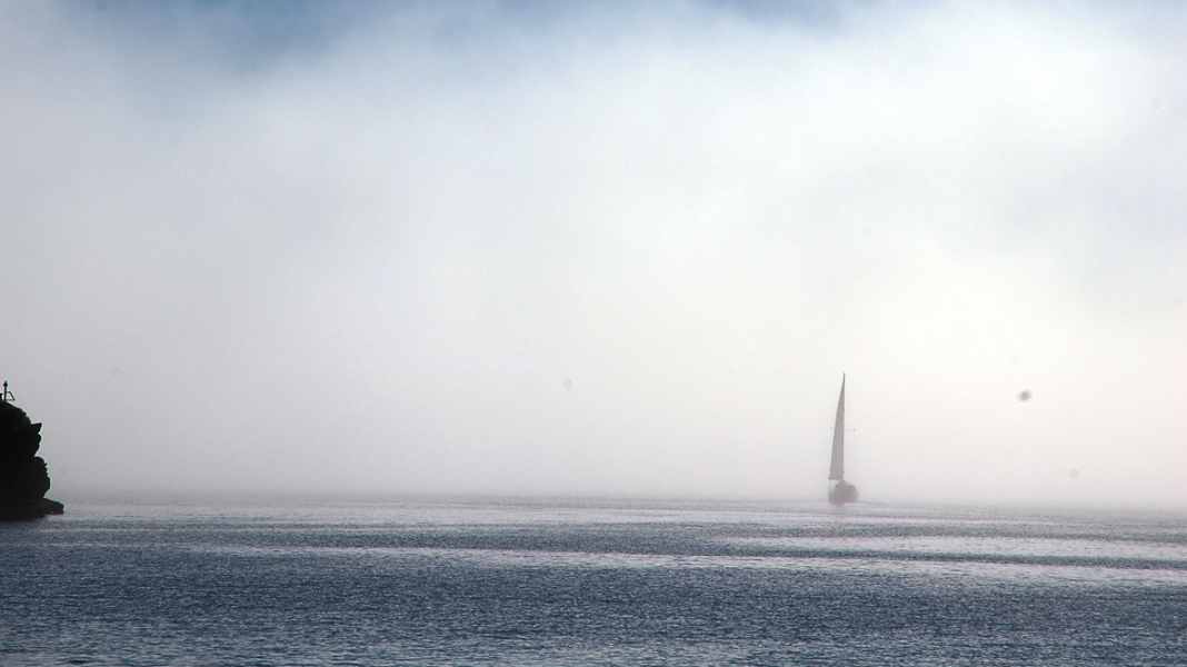 Sécurité : trois types de brouillard - comment ils apparaissent et disparaissent