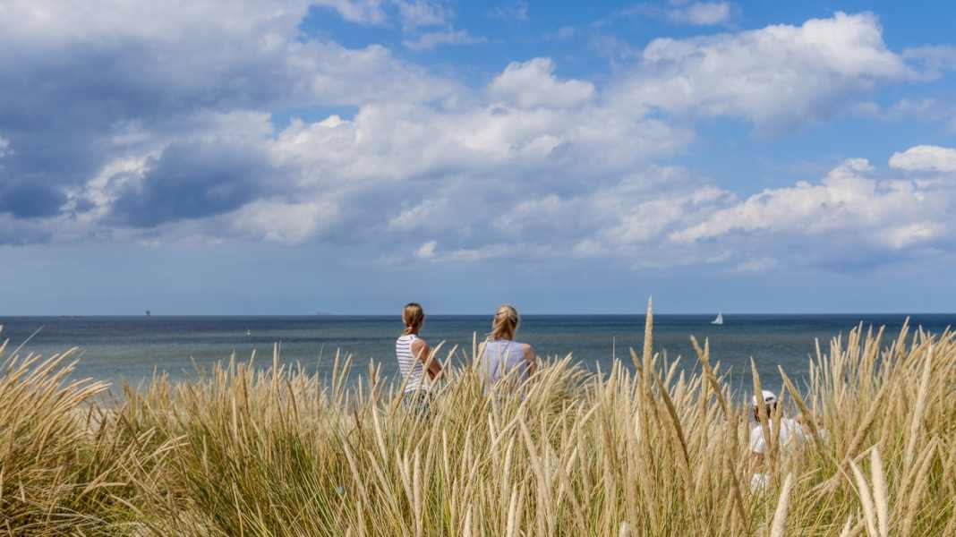 Paesi Bassi: dallo Zeeland al Waddenzee - Vlieland, Terschelling e Harlingen