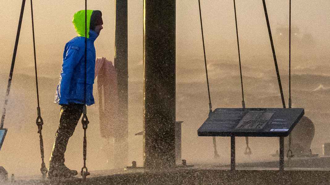 Sturmtief “Zoltan”: Kuh-Sturm als Glücksfall für die Ostsee