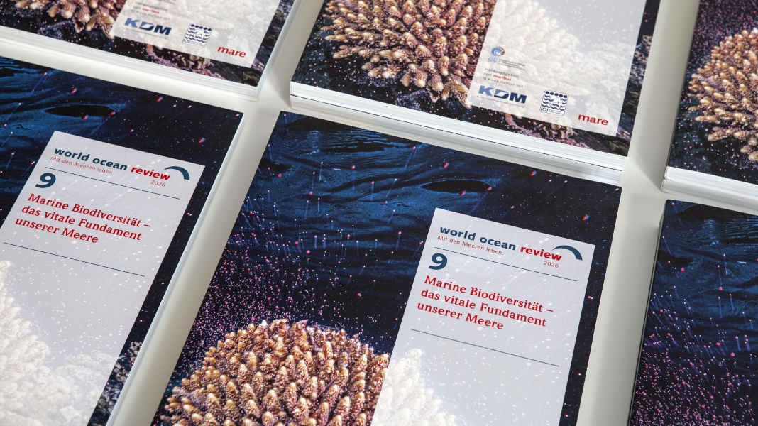 World Ocean Review 2025: Meeresschutz kann wirken – wenn er richtig umgesetzt wird