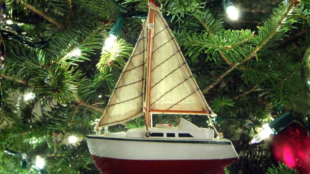 1st Saturday in Advent: DSV vouchers for exciting seminars at the DSV Academy