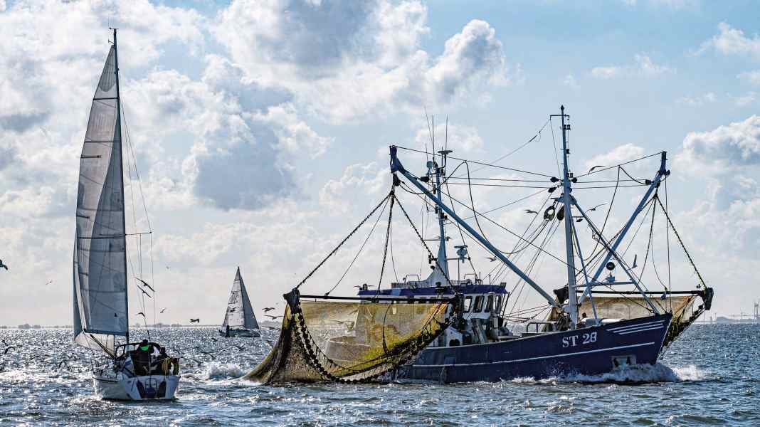 Diritto di passaggio: la Corte inasprisce le regole del diritto di passaggio per i marinai